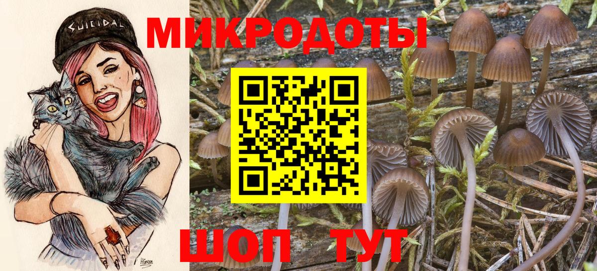 даркнет сайт  Вход с VPN  Ростов Великий  Псилоцибиновые грибы прущие грибы 